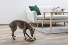Paw, Denk und Lernspielzeug