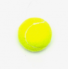 Tennisball mit Squiker